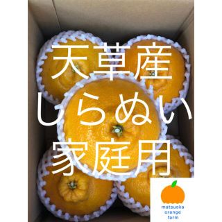 不知火　家庭用　5kg (フルーツ)