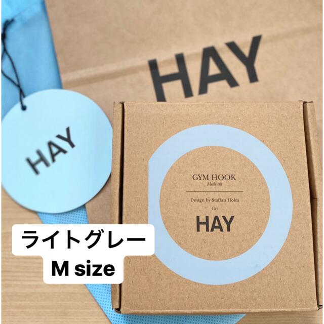 ACTUS(アクタス)のHAY GYM HOOK M ジムフック　ライトグレー インテリア/住まい/日用品のインテリア/住まい/日用品 その他(その他)の商品写真