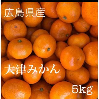 広島県産　大津みかん　5kg   産地直送　農家直送(フルーツ)