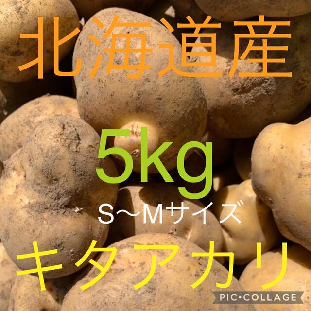 北海道産キタアカリ5kg 食品/飲料/酒の食品(野菜)の商品写真