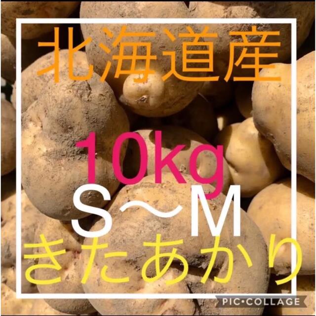 北海道産キタアカリ10kg 食品/飲料/酒の食品(野菜)の商品写真