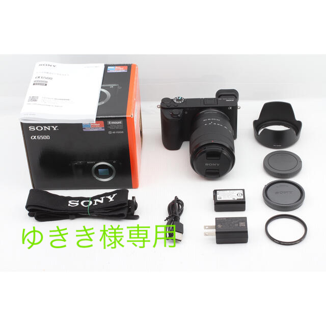 使用回数5回 ！ SONY a6600 ボディ 豪華特典多数！予備バッテリーありカメラ