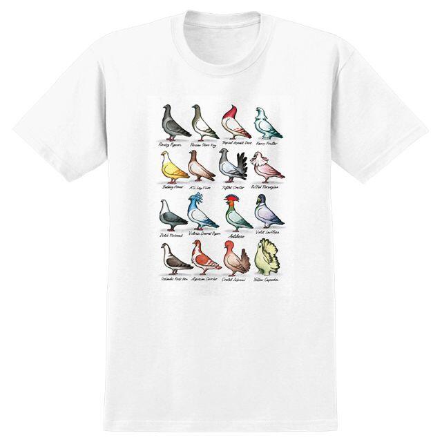 L Anti Hero Show Pigeons T-shirt約555cm裄丈