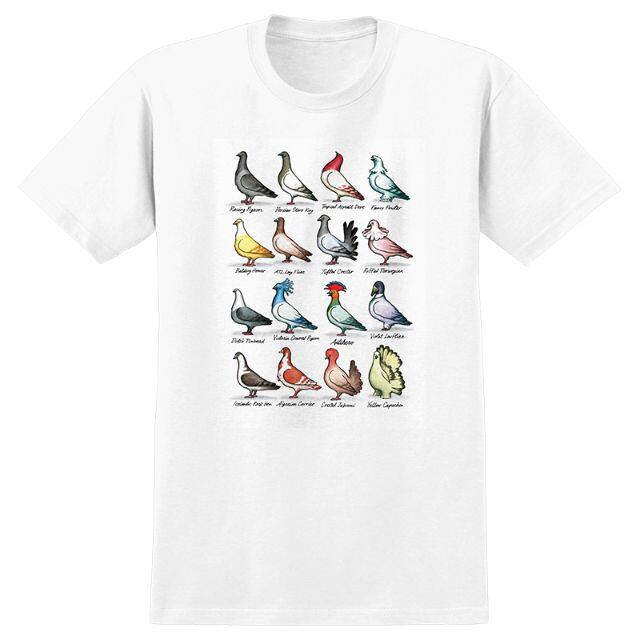 ANTIHERO(アンチヒーロー)のL Anti Hero Show Pigeons T-shirt メンズのトップス(Tシャツ/カットソー(半袖/袖なし))の商品写真