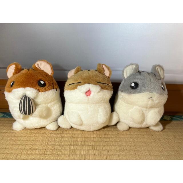 ハムスター倶楽部 しげっち ぷぅーちゃん えんどーくん セット ハムスター倶楽部 しげっち ぷぅーちゃん えんどーくん セット