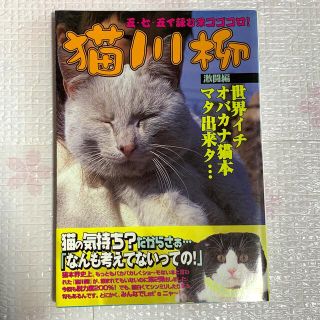 猫川柳 五・七・五で詠むネコゴコロ！ 激闘編(住まい/暮らし/子育て)