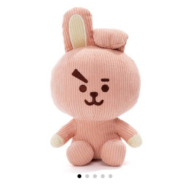 BTS  コーデュロイ COOKY クッキー　TATA タタ　グクテテ　グテ 5