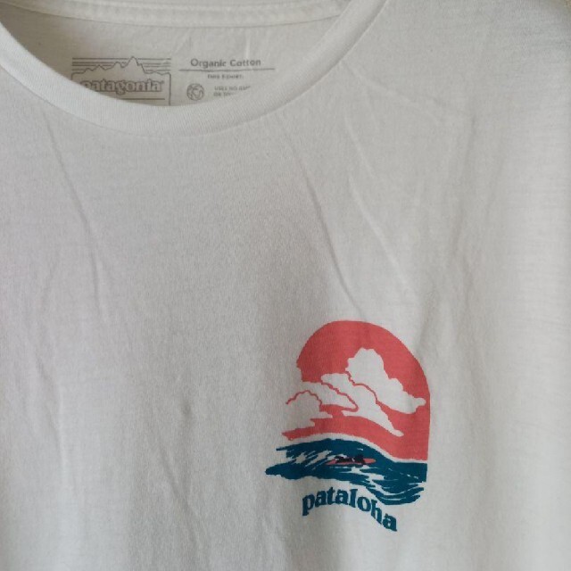 patagonia(パタゴニア)の☆patagonia　パタゴニア　Tシャツ　XL　美品　高級　ヴィンテージ メンズのトップス(Tシャツ/カットソー(半袖/袖なし))の商品写真