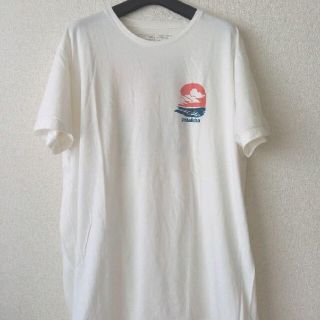 パタゴニア(patagonia)の☆patagonia　パタゴニア　Tシャツ　XL　美品　高級　ヴィンテージ(Tシャツ/カットソー(半袖/袖なし))