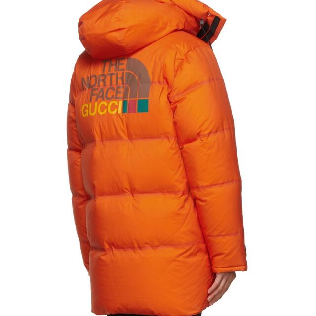 Gucci(グッチ)のThe North Face GUCCI  (GUCCI ノースフェイス)ダウン メンズのジャケット/アウター(ダウンジャケット)の商品写真