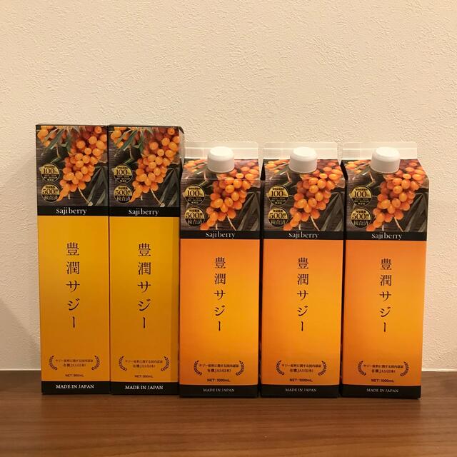 届いたばかり 豊潤サジー 1000ml 300ml フィネス www.krzysztofbialy.com