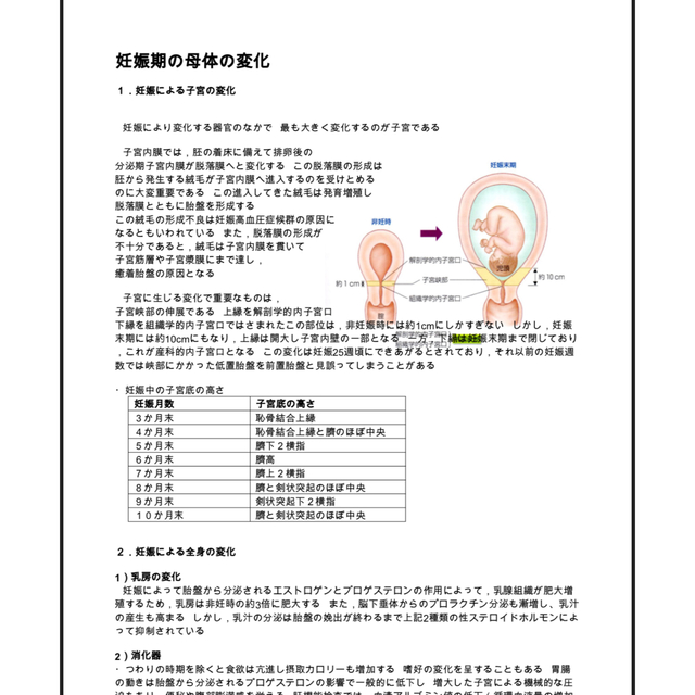 ⛔2500種類以上⛔超増量????????看護実習☆お役立ち資料