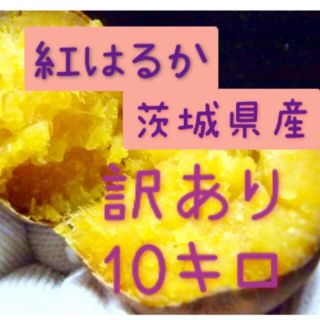 さつまいも　紅はるか　10kg   サイズ訳あり(野菜)