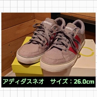 アディダス(adidas)の美品アディダスネオ　26.0cm(スニーカー)