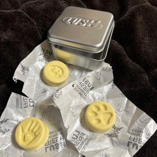 ラッシュ(LUSH)のLUSH チャリティーポット(ボディクリーム)