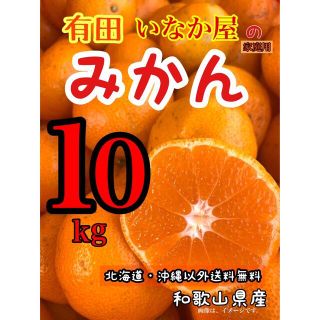 和歌山県産　有田　みかん　家庭用　10kg 特価価格　セール(フルーツ)