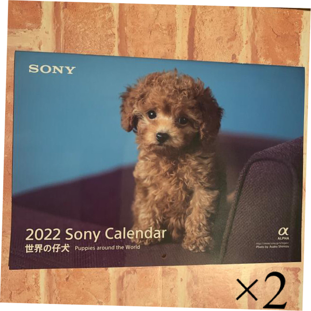 SONY(ソニー)の2022年 壁掛カレンダー『世界の仔犬』 ソニー　2冊 インテリア/住まい/日用品の文房具(カレンダー/スケジュール)の商品写真