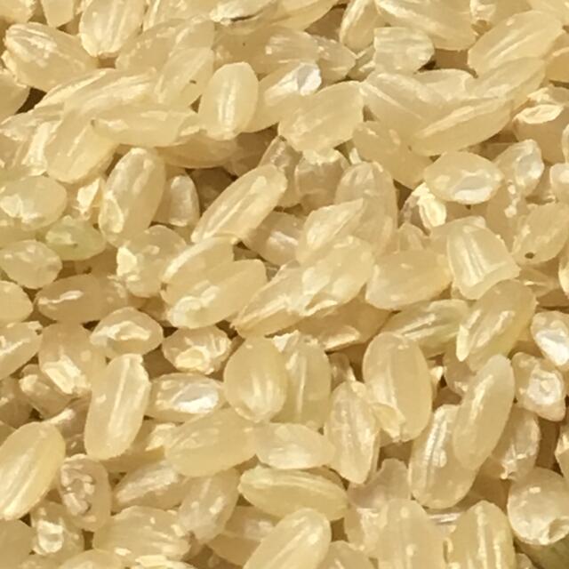 完全農薬不使用 天日干し令和4年度うるち米（あきたこまち）玄米5kg
