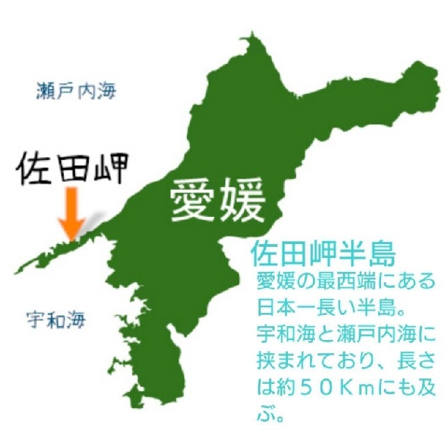 鉄釜ひじき ５パック 愛媛県佐田岬宇和海産 chateauduroi.co