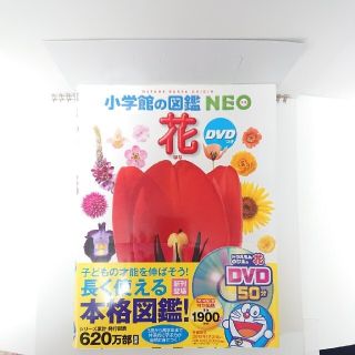 ◆中古◆ 小学館の図鑑　NEO 「花」(絵本/児童書)