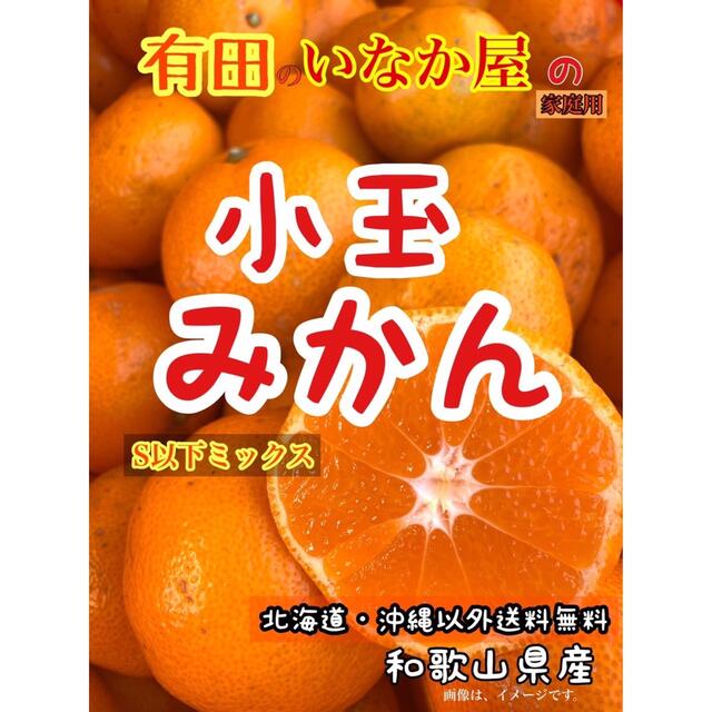 和歌山県産　有田　みかん　家庭用　10kg 小玉　特価価格　セール 食品/飲料/酒の食品(フルーツ)の商品写真