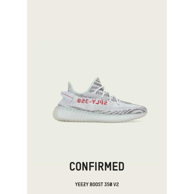 【新品未使用】27cm adidas YEEZY BOOST 350 V2スニーカー