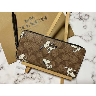 コーチ(COACH)の【COACH】コーチスヌーピー 長財布 SNOOPY シグネチャー(財布)