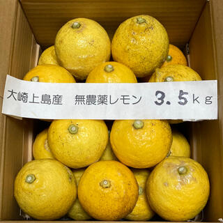 広島県大崎上島産無農薬レモン3.5kg(フルーツ)