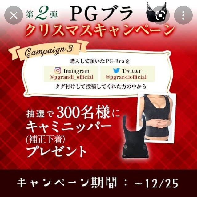 PGブラ 新品未使用 キャミニッパー付き ナイトブラ