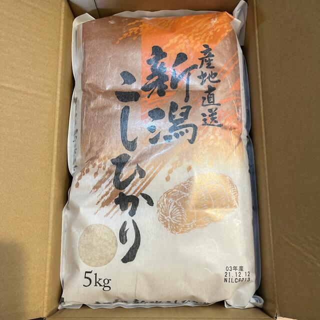 新潟こしひかり 食品/飲料/酒の食品(米/穀物)の商品写真