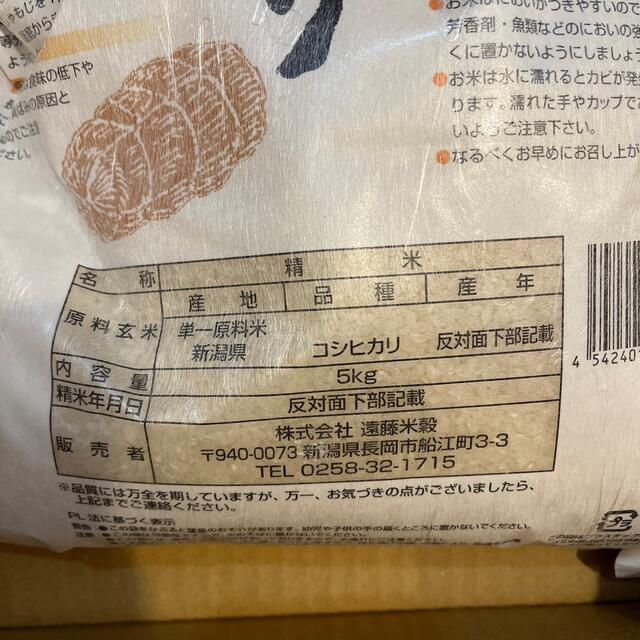 新潟こしひかり 食品/飲料/酒の食品(米/穀物)の商品写真