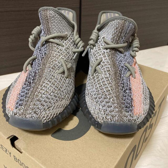 adidas(アディダス)のadidas yeezy boost 350 v2 メンズの靴/シューズ(スニーカー)の商品写真