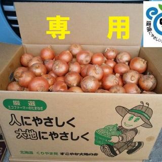 hisa***様専用北海道産 小さい玉ねぎ 20kg(野菜)