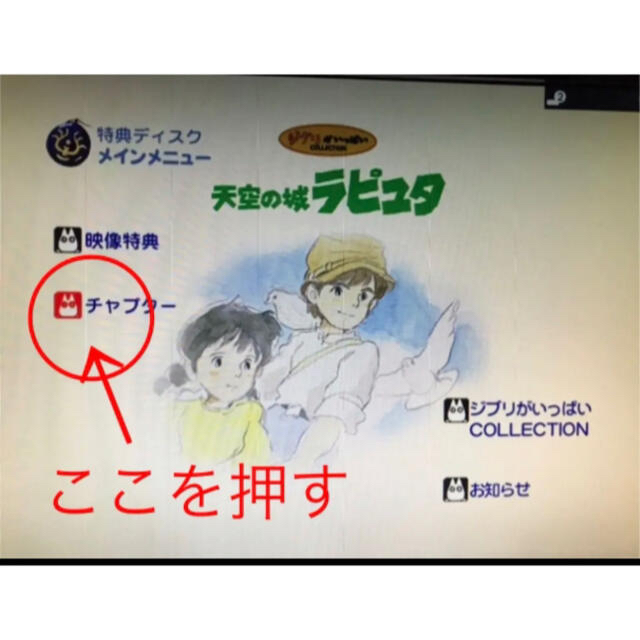 ジブリDVD21作品 本編ディスク20枚 特典ディスク1枚-