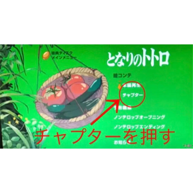 ジブリ(ジブリ)のジブリDVD20作品 特典ディスク20枚　市販のケースにおまとめします エンタメ/ホビーのDVD/ブルーレイ(日本映画)の商品写真