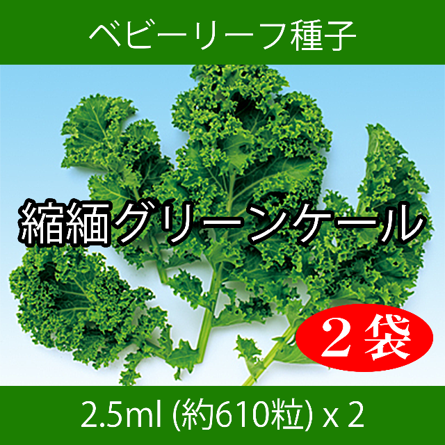 ベビーリーフ種子 B-08 縮緬グリーンケール 2.5ml 約610粒 x 2袋 食品/飲料/酒の食品(野菜)の商品写真