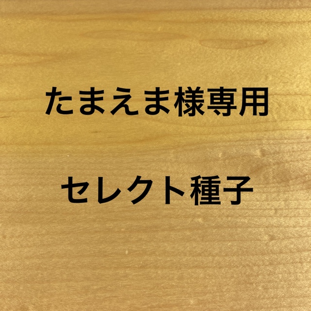 たまえま様専用　セレクト種子　2袋 食品/飲料/酒の食品(野菜)の商品写真