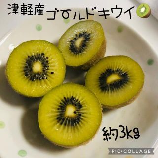 説明文必読　ゴールドキウイ　約3kg 青森県平川市産　多少傷みあり含む(フルーツ)