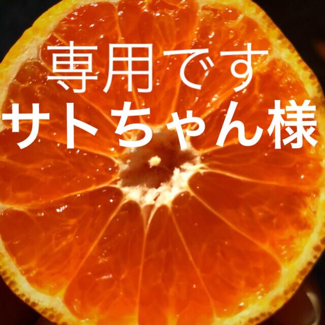 サトちゃん様専用⭐︎訳ありみかん⭐︎10kg 食品/飲料/酒の食品(フルーツ)の商品写真