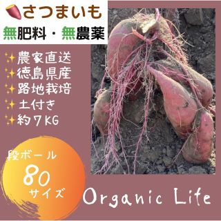 【12/31まで】 ✨オーガニック✨さつまいも✨無農薬✨無肥料✨大地の恵み✨(野菜)
