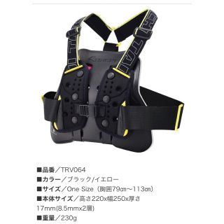 タイチ 女性用胸部プロテクター(装備/装具)