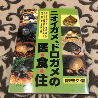 ニオイガメ、ドロガメの医・食・住(その他)