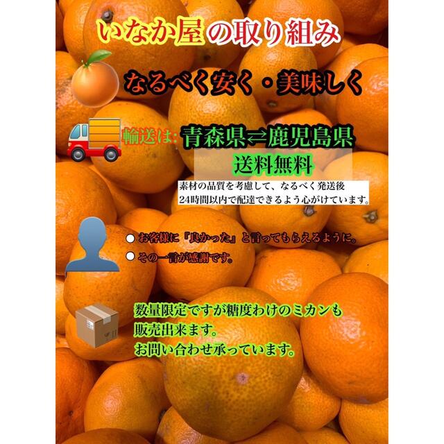 和歌山県産　有田　みかん　家庭用　10kg 小玉　S以下ミックス　セール　 食品/飲料/酒の食品(フルーツ)の商品写真