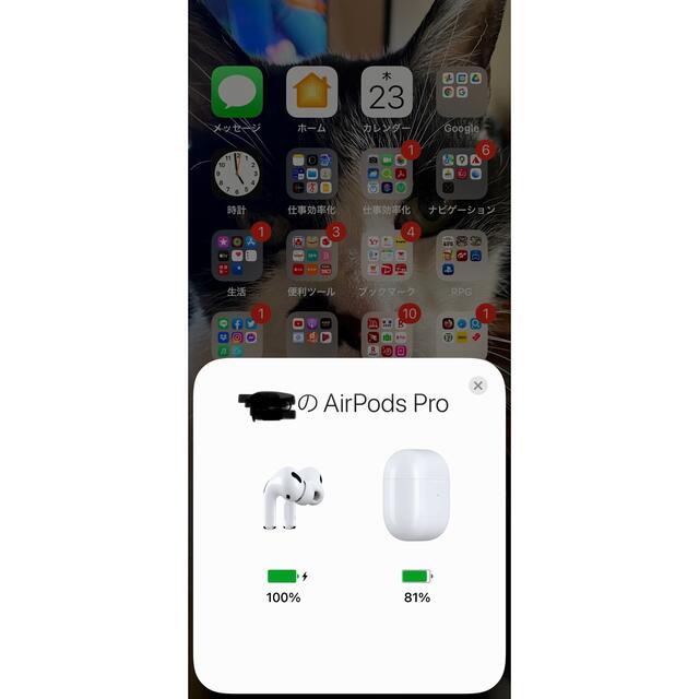 Apple(アップル)のAPPLE AirPods Pro ノイズキャンセリング付完全ワイヤレスイヤホン スマホ/家電/カメラのオーディオ機器(ヘッドフォン/イヤフォン)の商品写真