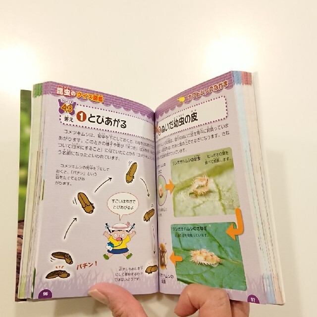 学研(ガッケン)の昆虫のクイズ図鑑 エンタメ/ホビーの本(絵本/児童書)の商品写真