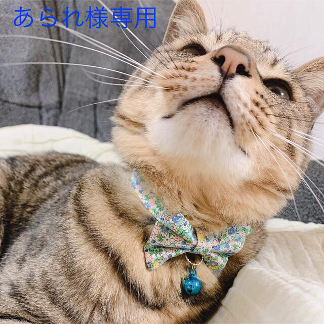 あられ様専用】猫 首輪 猫首輪
