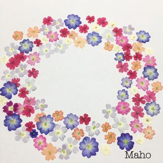 ♡押し花素材♡バーベナ、ユキヤナギ♡(各種パーツ)