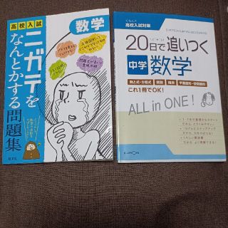 高校入試ニガテをなんとかする問題集 数学(語学/参考書)