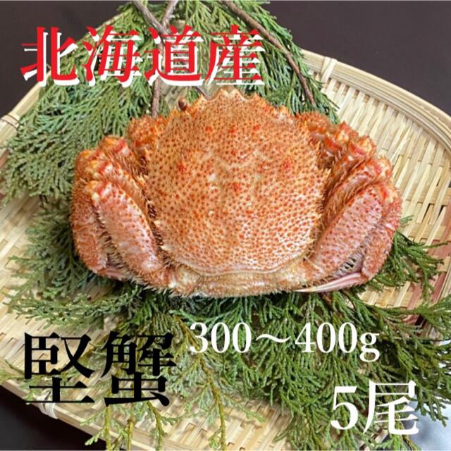冷凍　魚介　5尾（1尾300〜350g）　蟹　北海道産　毛がに　ボイル毛蟹　かに