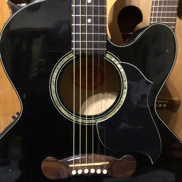 Gibson(ギブソン)のギブソン　EC -10 楽器のギター(アコースティックギター)の商品写真